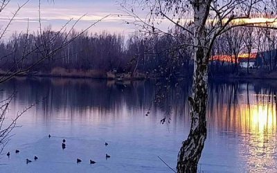 FOTOGALERIJA Članice KUD-a Podravka, Likovne sekcije “Podravka 72” održale novu likovnu radionu pod vodstvom akademske slikarske Olene Sokolovske