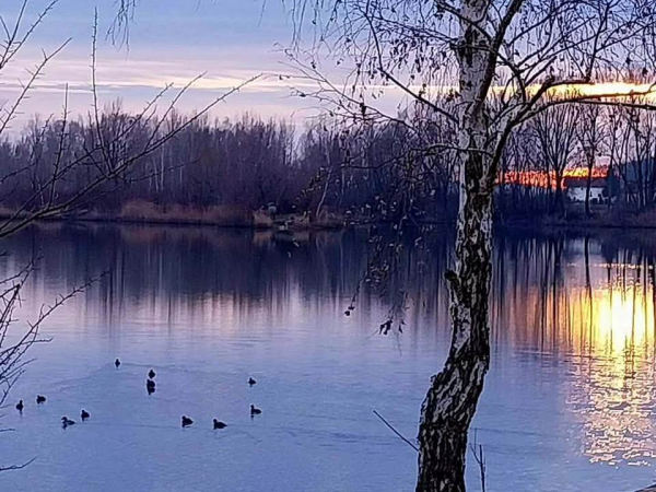 FOTOGALERIJA Članice KUD-a Podravka, Likovne sekcije “Podravka 72” održale novu likovnu radionu pod vodstvom akademske slikarske Olene Sokolovske